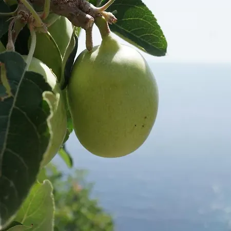 Blue Lagoon Village Villa