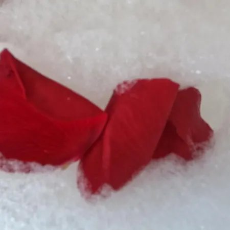 Blue Lagoon Village Villa